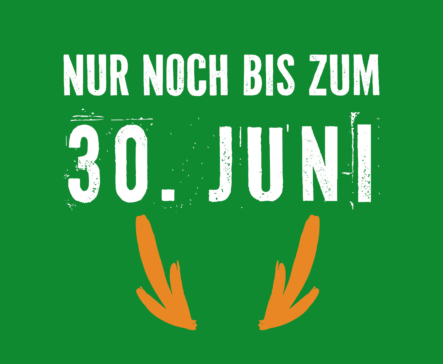 Seit über 30 Jahren Macher. Wir feiern 30 Jahre Elm Bau!